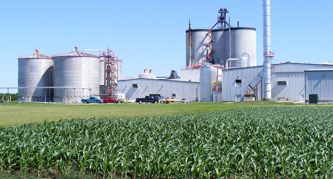 Nesika Energy LLC
